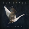 Foy Vance