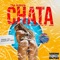 Chata - ElFreschElCienty lyrics