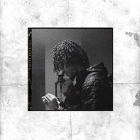 IceBirds Essentials - Icebirds