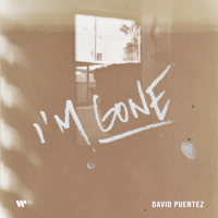 David Puentez - I'm Gone artwork