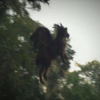 Jersey Devil - Single - Shinigami