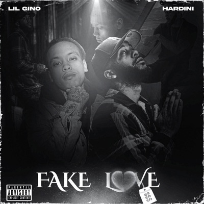 Fake Love (feat. Hardini) - Single