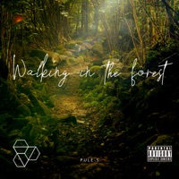 Walking in the Forest - Single - Pule-S