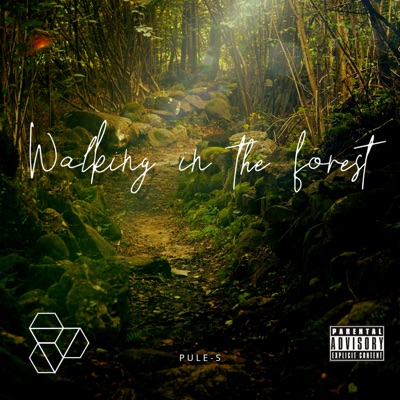 Walking in the Forest - Single