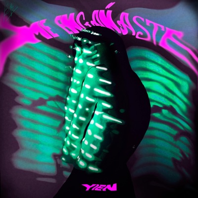 Me Engañaste - Single