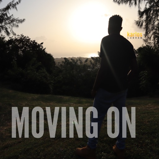 Art for Moving On by Karlos Cobham