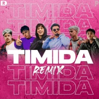 Tímida Remix (feat. Jay Vazquez & Ant0) [Remix] - Single - Agus Fraga, Arocena, Repe & El Mala
