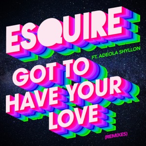 Got to Have Your Love (Remixes) [feat. Adeola Shyllon] - Single