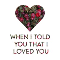 When I Told You That I Loved You - Single - Buskin & Jesse Barnett