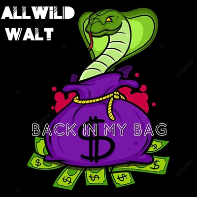 Back In My Bag - Single