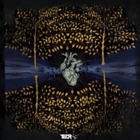 Jahane Man - Single - Teor