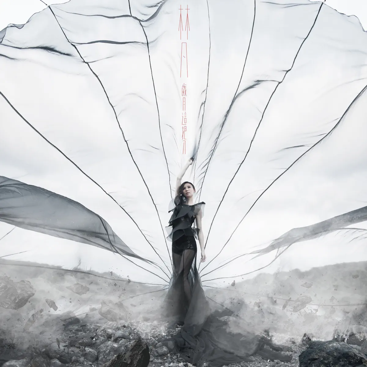 林凡 - 歲月這把刀 Time Doesn't Heal (2014) [iTunes Plus AAC M4A]-新房子