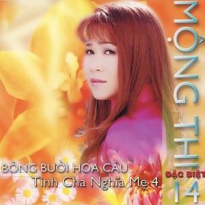 Mộng Thi Đặc Biệt 14 (Bông Bưởi Hoa Cau Tình Cha Nghĩa Mẹ 4)