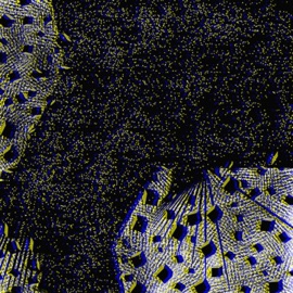 Dead Mental KID Cxbra