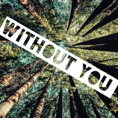 Without You - Single