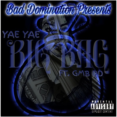 Big Bag (feat. GMB DD) - Single