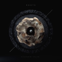 Roots - Cihangir Aslan