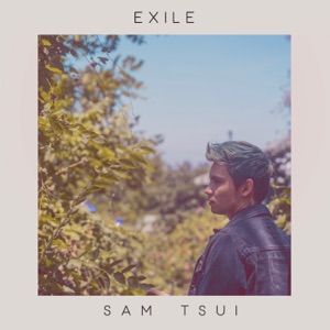 exile (Acoustic) - Single