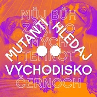 Mlha