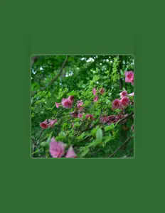 收听 Anastasia Shaw、观看音乐视频、阅读小传、查看巡演日期等 ！