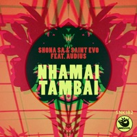 Nhamai Tambai (feat. Audius) - Single - Shona SA & Saint Evo