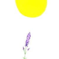 Encuéntrame (Piano Version) - Single - Raúl Moreno & Corazón O´Heart