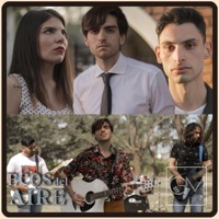 Ecos del Aire - Gonzi Mathi