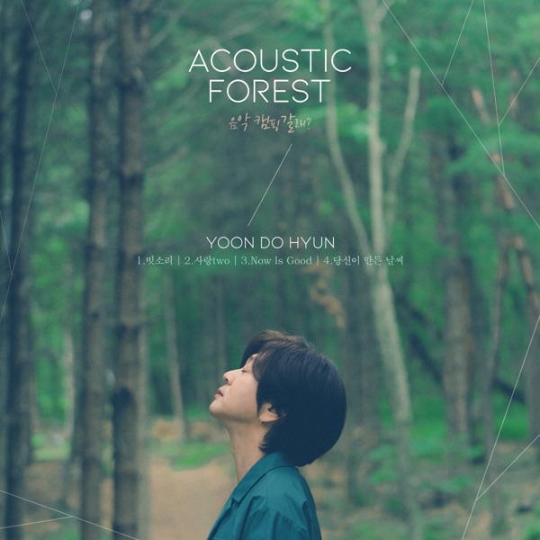 The Acoustic Forest - EP