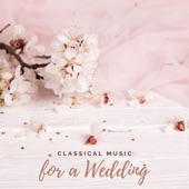 Married Life (Arr. for Piano) artwork