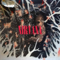 Nirvana - Single - NotGleams