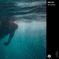 Amber - Single - Misc.Inc