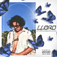 Lloro - Single - Dari Ferrari