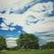 King Park (feat. Paul Smallman) - The Harrison Center lyrics