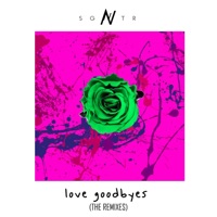 Love Goodbyes (Remixes) - EP - SGNTR