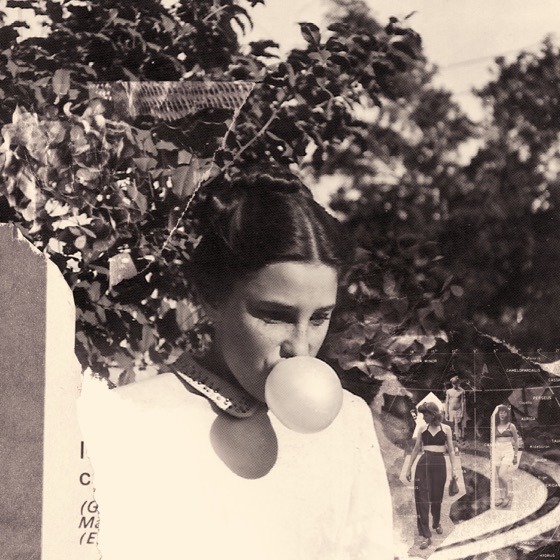 Cover artwork for Owl