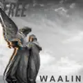 Free
