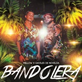 Bandolera artwork