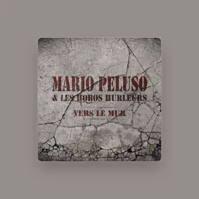 Listen to Mario Peluso & les hobos hurleurs, watch music videos, read bio, see tour dates & more!