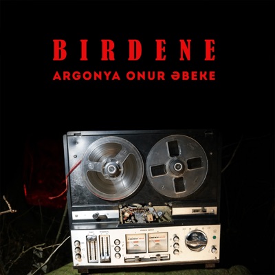 Birdene (feat. ONuR & Әbeke) - Single