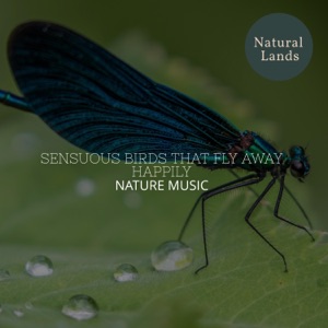Sensuous Birds that Fly Away Happily - Nature Music