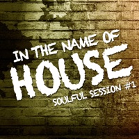 In the Name of House  (Soulful Session 1) - Various Artists