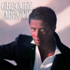 Gregory Abbott - Shake You Down artwork