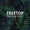 Treetop - Pelican Dock lyrics