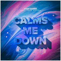 Calms Me Down (feat. Luke Potter) - Single - Josef Bamba