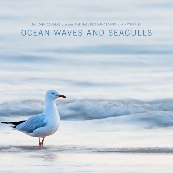 Ocean Waves & Seagulls - EP