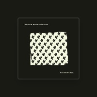 Tequila Mockingbirds