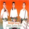 Dersim Davul Zurna Ekibi, Vol. 1 (Şorda), 2002