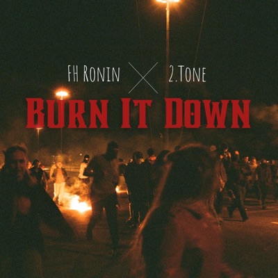 Burn it down (feat. 2.Tone) - Single
