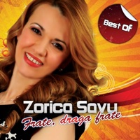 Zorica Savu - O Zi Din Viata Mea