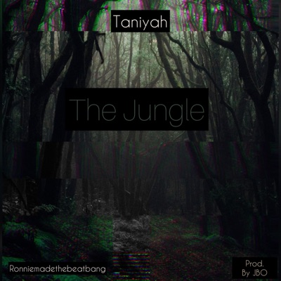The Jungle - Single